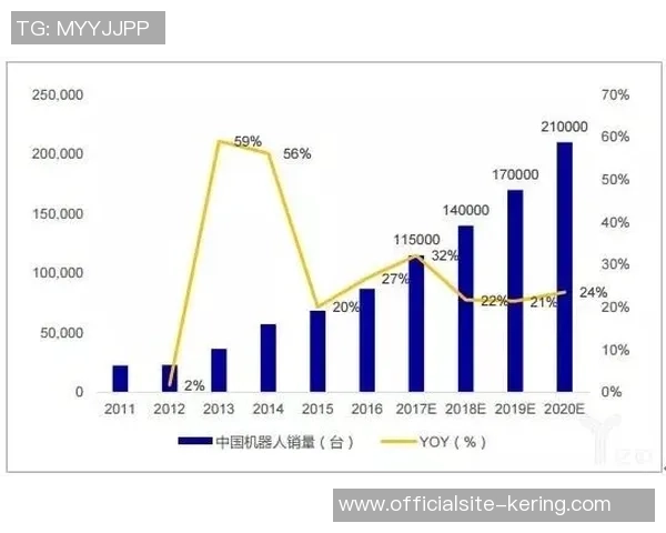 北京羽毛球队的控制革新与未来发展战略深度探讨
