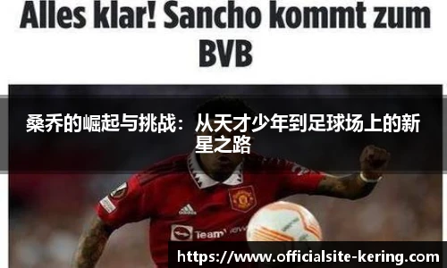 开云app